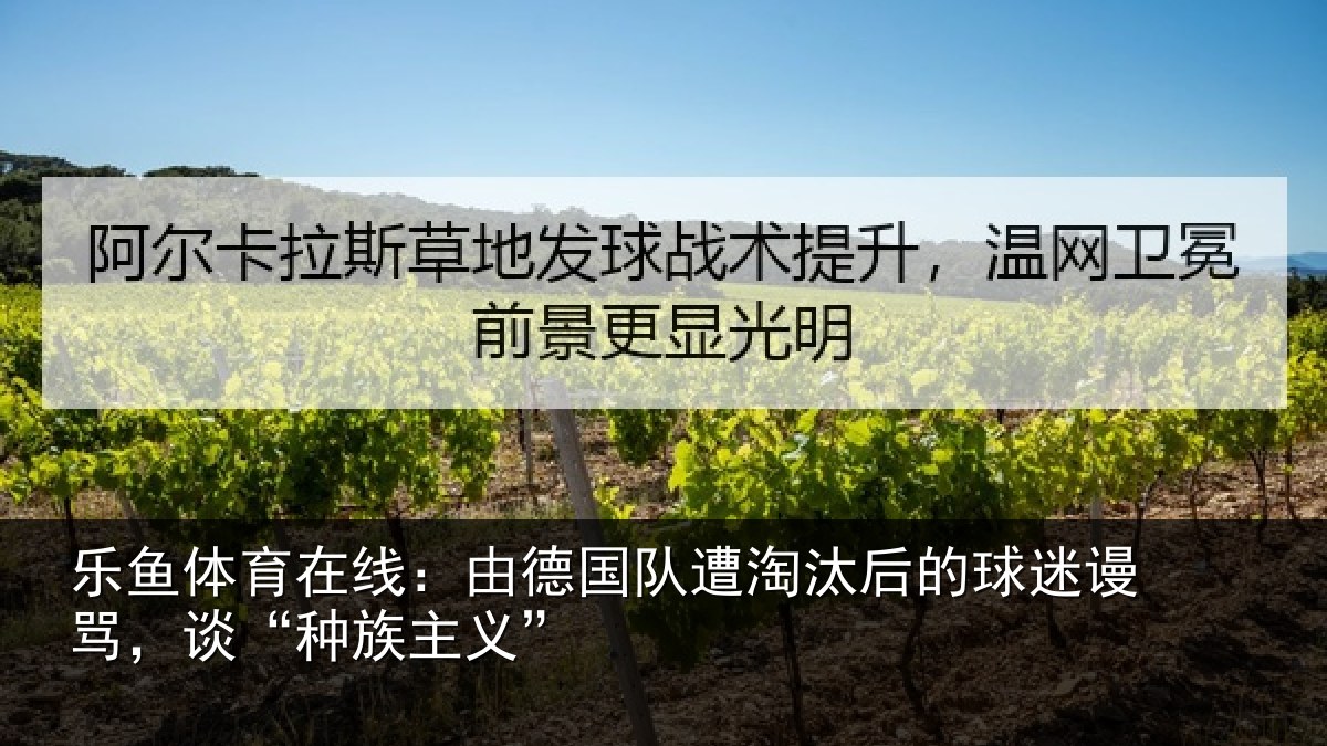 乐鱼体育在线:由德国队遭淘汰后的球迷谩骂,谈“种族主义”