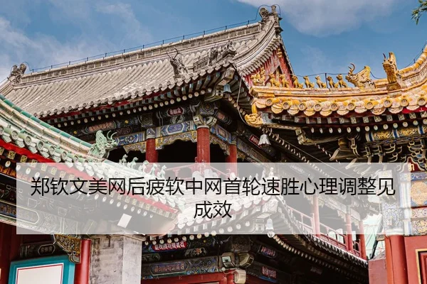 zheng-qin-wen-mei-wang-hou-pi-ruan-zhong-wang-shou-lun-su-sheng-xin-li-tiao-zheng-jian-cheng-xiao-3-337.jpg