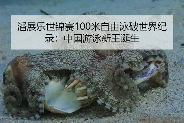 潘展乐世锦赛100米自由泳破世界纪录：中国游泳新王诞生