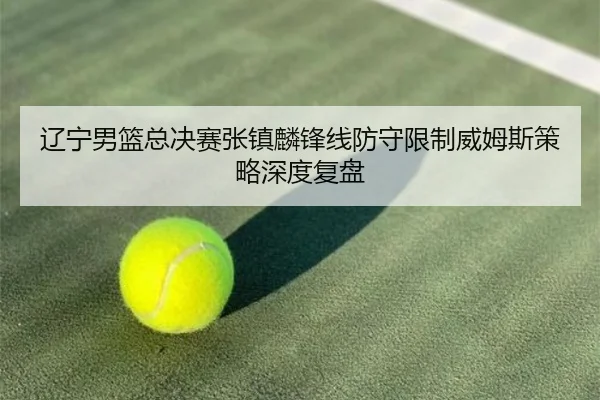 辽宁男篮总决赛张镇麟锋线防守限制威姆斯策略深度复盘